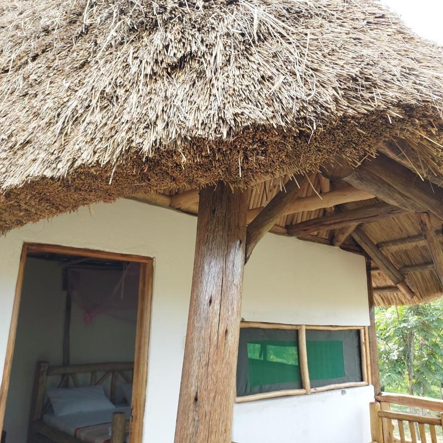 Songbird Safari Lodge & Campsite Katunguru ภายนอก รูปภาพ