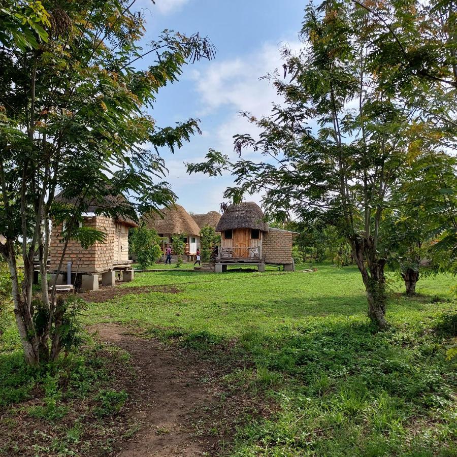 Songbird Safari Lodge & Campsite Katunguru ภายนอก รูปภาพ
