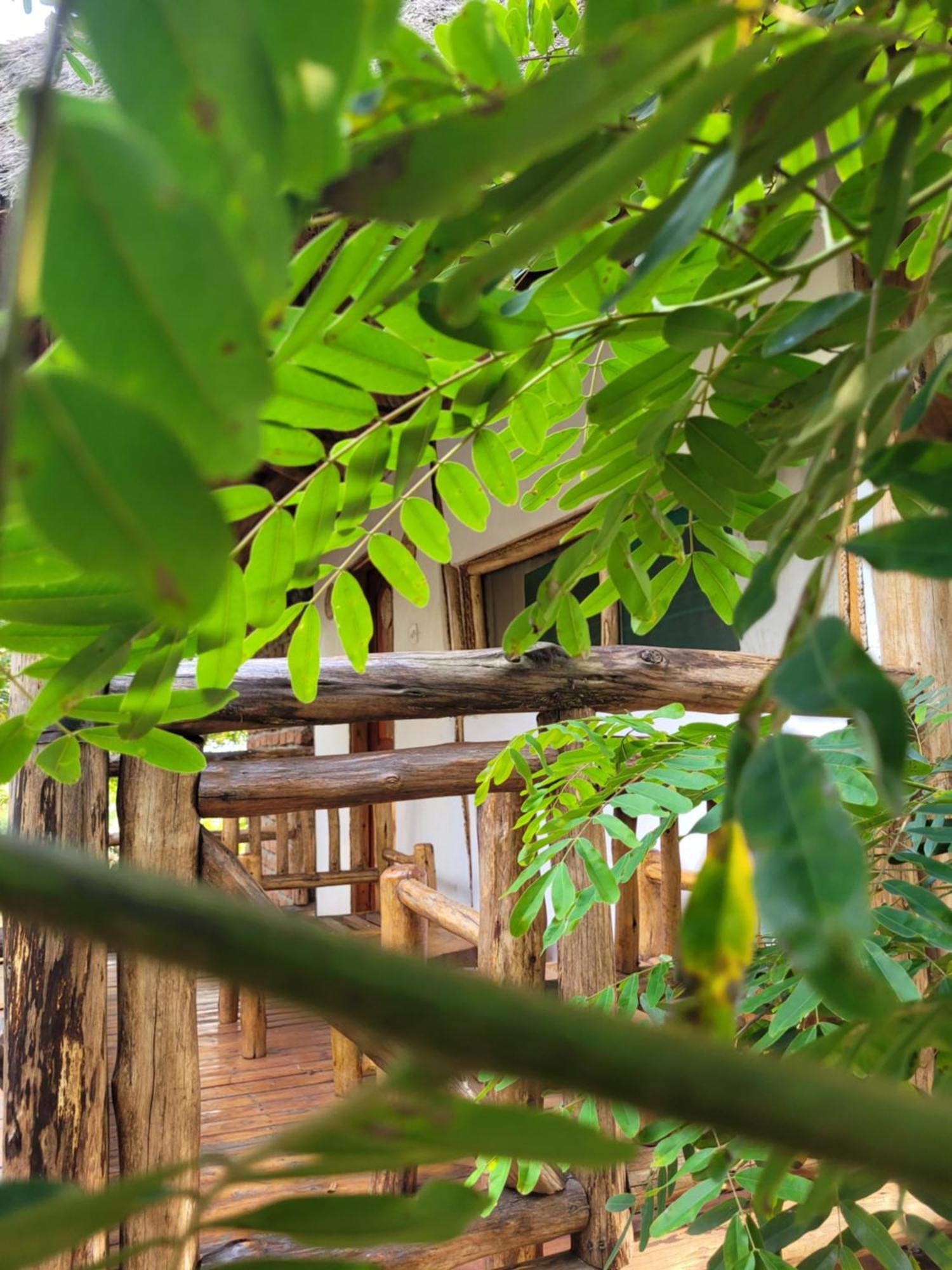 Songbird Safari Lodge & Campsite Katunguru ภายนอก รูปภาพ